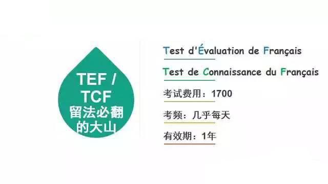 ���ϚW�L��Ӗ�����Z��ԇ���C����P�c